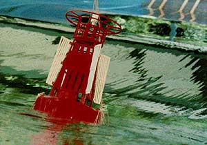 Bouy in Waves