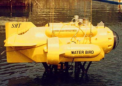 Water Bird